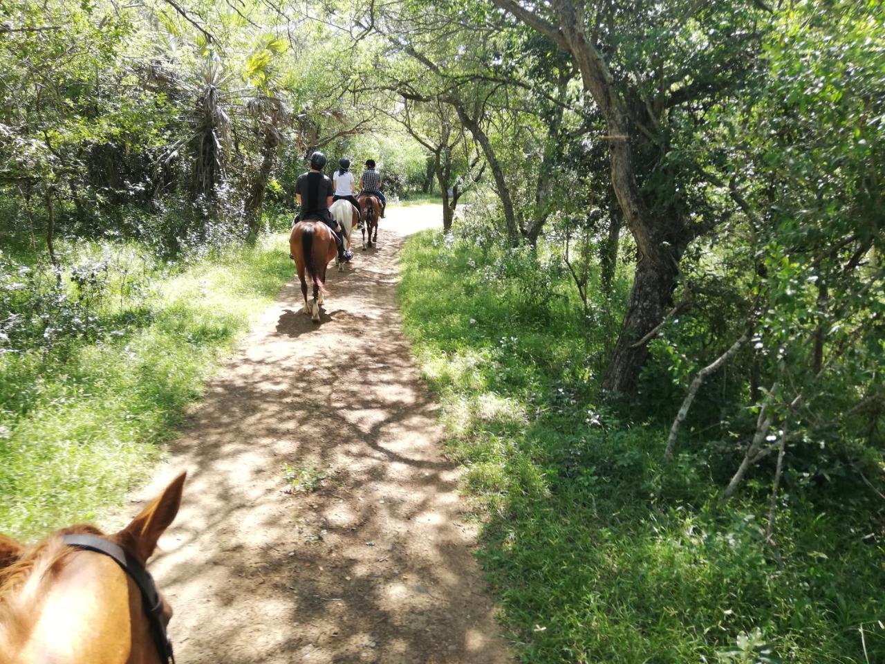 Vila We Bushcamp & Horse Safaris Hluhluwe Exteriér fotografie